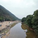 장령산자연휴양림 야영장 이미지