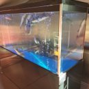 금수빌딩 이미지