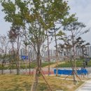 고암체육공원 이미지