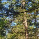 금강호관광지 이미지