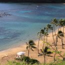 일본어(야간) 이미지