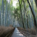 유동 공중화장실 | 일본 오사카 여행 2박 3일 일정 전철 매너 정리