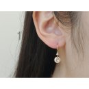4269 이미지