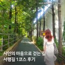 눈부신 가을날, 행복한 서행길 걷기 어떠세요? 서행길1코스 걸어본 후기