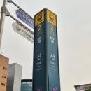 에스비 아쿠아 | 두피관리샵 wt메소드 강서마곡점 두피클리닉 솔직후기 두피 노폐물 제거 맛집으로 임명하노라