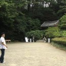 제승대 Daum카페