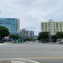 시민공원 북문 앞 횡단보도 네이버블로그
