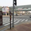 이채쇼핑몰 이미지