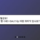 하이퀄리(HEI-QALY)
