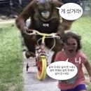 성환1로 이미지