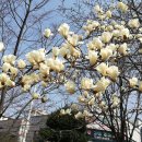 신암초교 이미지