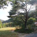 달빛관광농원펜션 이미지