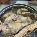 병암산장 | 《광양 옥룡 맛집》 광양 백운산+병암산장 백숙 후기!!!