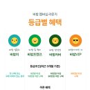 밤몰