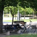 나무그늘아래 이미지