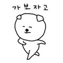 춘천 고양이집 이미지