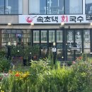 속초댁회국수