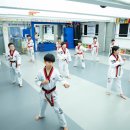 용인대 시선 태권도장 이미지