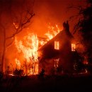 Pacific BUBBLES 이미지