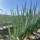 현진농장 이미지