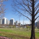 화정하나로약국 이미지