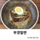 온천동 밀면 맛집 부경밀면 재방문