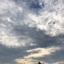 이도공감 이미지