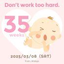 믿기지가 않는다..출산 D-5