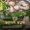 신선수촌골드부동산공인중개사사무소 | 내돈내산 닭한마리,닭갈비 맛집 후기