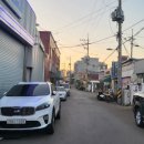 지윤육회연어 이미지