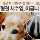 애니컴 메디컬센터 이미지