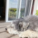 오광농장 이미지