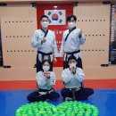 용인대박사백호태권도장 이미지