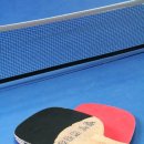 횡성 별빛마을 캠핑장 이미지