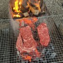 [포천 글램핑] 포천 파인벨리 럭셔리 글램핑 1호점 내돈내산 찐리뷰!