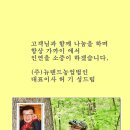 경매박사