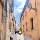 구사샘물 | 아빠와 스페인 여행기2. 세고비야 톨레도