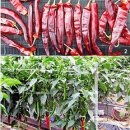 공설운동장 입구 2 이미지