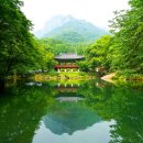 백양사 쌍계루 | 장성 가볼만한곳 백양사 템플스테이 쌍계루 내장산국립공원 유명한절