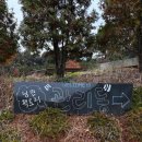 홈플러스 안중점 | [평택] 낭만팩토리 캠핑장 대형 타프존 T4 사이트 &amp; 쿠디 10.0 첫 피칭 솔직 후기