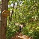 효성어린이공원(JC) 이미지