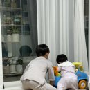 까까맘마 | 2025년 8월 : 잊을 수 없는 여름