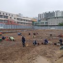 구성초등학교 이미지