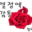 토피어리원예교실 이미지