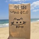 속초 감성 소품샵 속초 가볼 만한 곳 너와의순간
