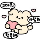 스킨호프 네이버블로그