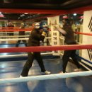 다윗복싱클럽 이미지