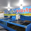싱싱회마을 | 싱싱한 대게와 함께하는 속초맛집에서의 시간, 회마을게동네 후기
