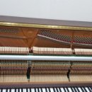 가온피아노음악학원 이미지