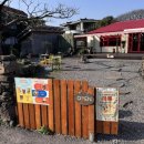 더썬치킨 남부민점 | 크로플 플래터로 다양하게 즐기는 제주 애월 브런치 맛집 | 카페 썬리